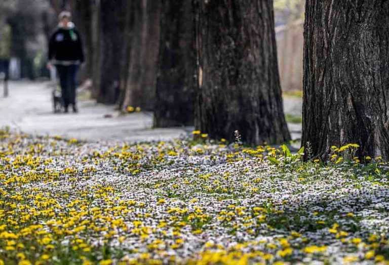 Topliji dani pred nama, temperature i preko 25 stepeni naredne sedmice
