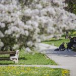vrijeme_proljece_sunce4