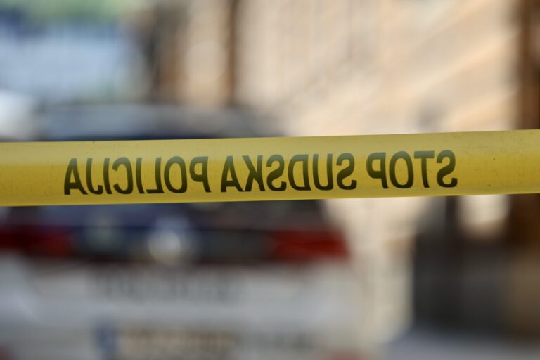 policija