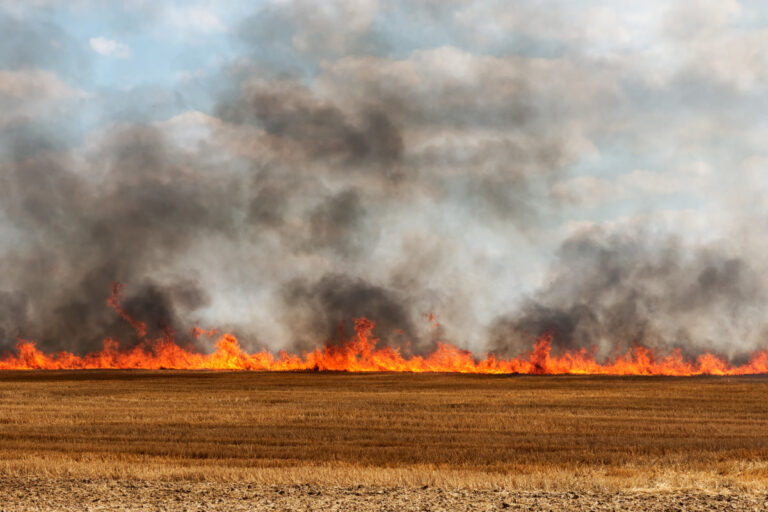 depositphotos-80705996-xl