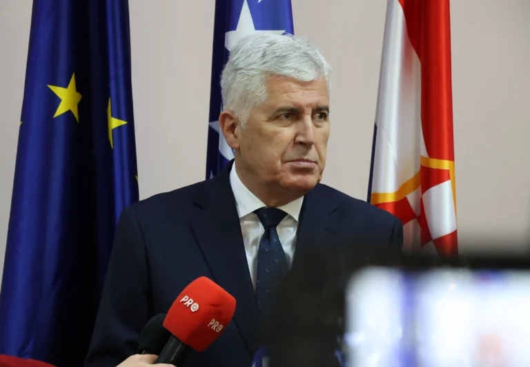 Dragan-Čović-webp