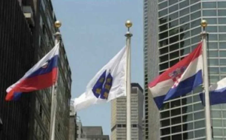zastava-rbih-newyork-maj2020-fb-1