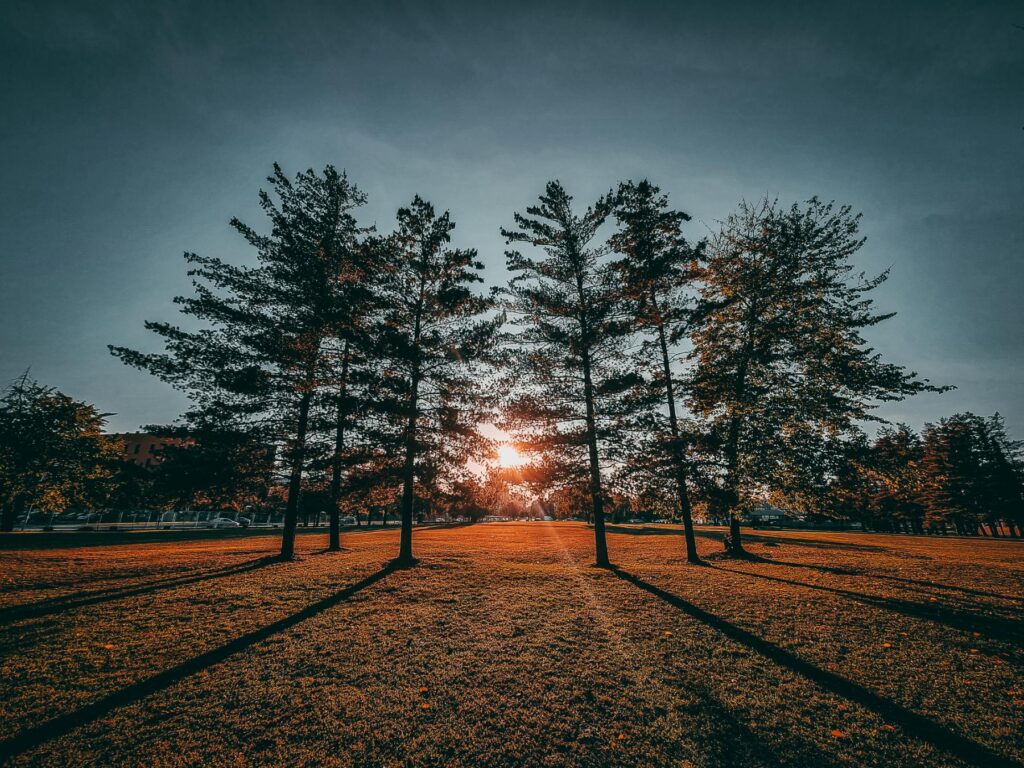 vrijeme_sunce_vremenska