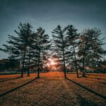 vrijeme_sunce_vremenska